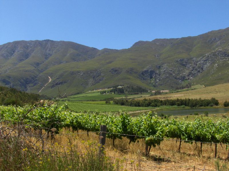 Bushmanspad Estate