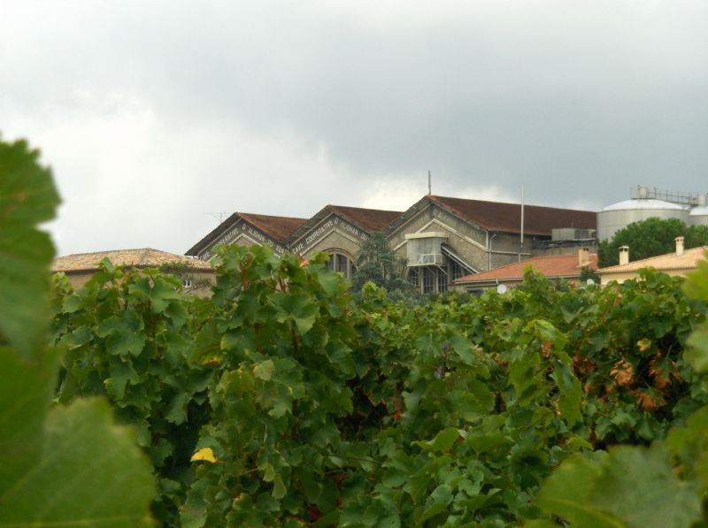 Les Vignerons d'Alignan du Vent