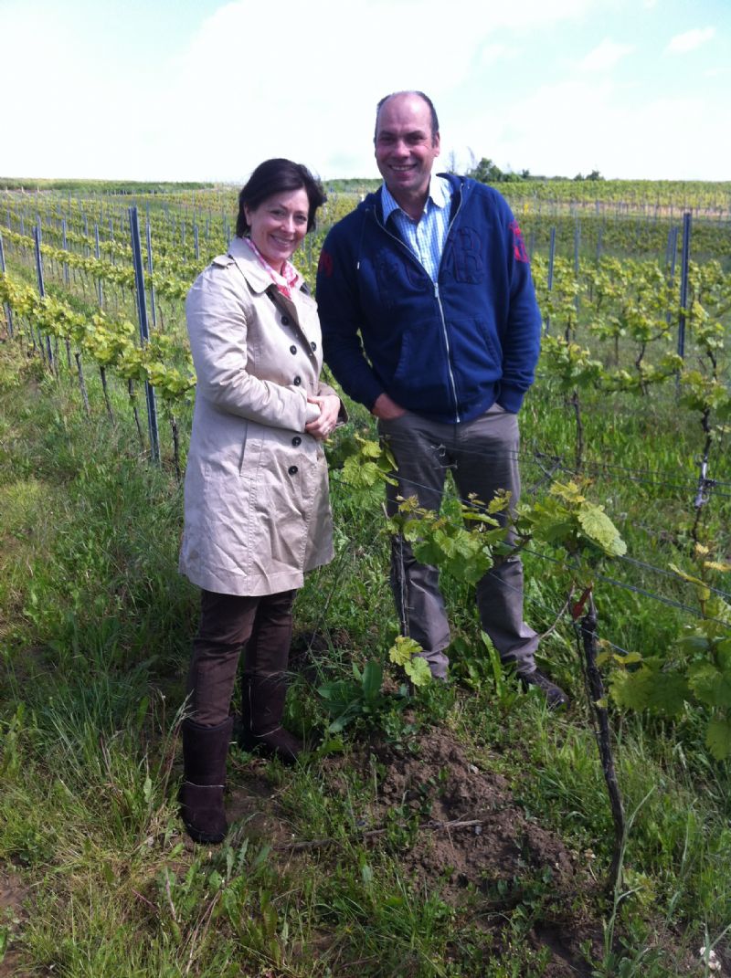 Weingut Julius