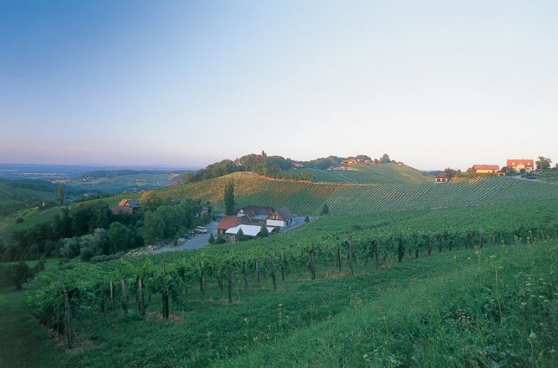 Weingut Polz