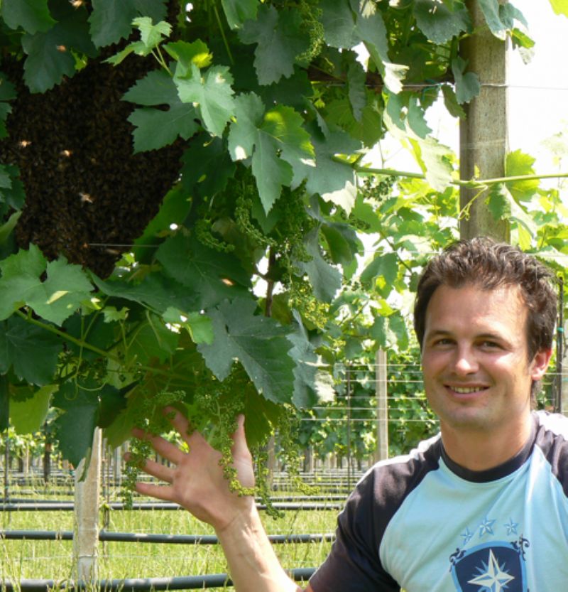 La Jara Organic