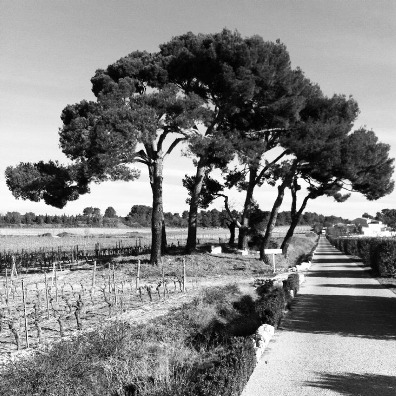 Domaine St. Jean du Noviciat 