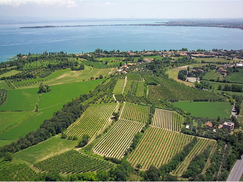 Cantina di Custoza