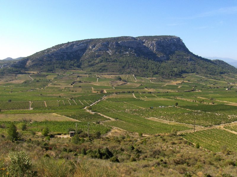Vignerons de Puimisson