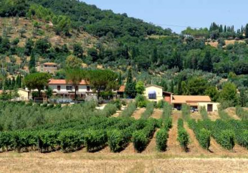Azienda Bulichella