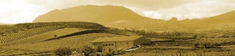 Bodegas Jalón