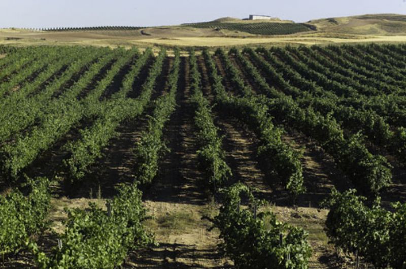 Bodegas Inurrieta
