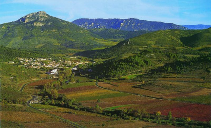 Cave de Cabrières