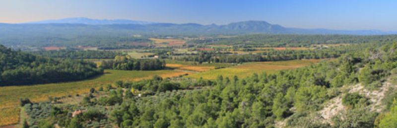 Château Pigoudet 